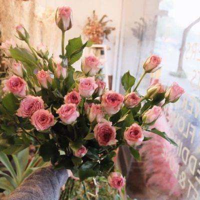 汇添富自主核心科技一年持有混合A净值上涨3.42%