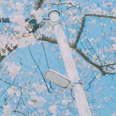 日本炼油商采购约800万桶美国原油 拟5月装船