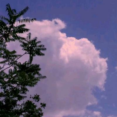 众娱国际app相关推荐1