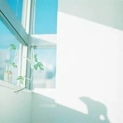 育秧达六成半 全国早稻生产全面展开